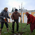 К празднику День народного единства в Калуге сажают деревья