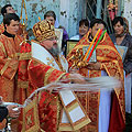 Епископ Людиновский Никита совершил литургию в Никольском храме села Износки