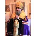Архипастырский визит епископа Никиты в Козельскую епархию
