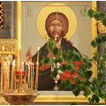 Общецерковная акция по борьбе с абортами прошла на подворье Никольского Черноостровского монастыря