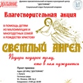 Отдел по церковной благотворительности и социальному служению Калужской епархии провел благотворительную акцию "Светлый ангел"