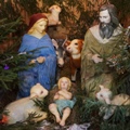 У Никитского храма г. Калуги состоялось открытие «Рождественского вертепа»
